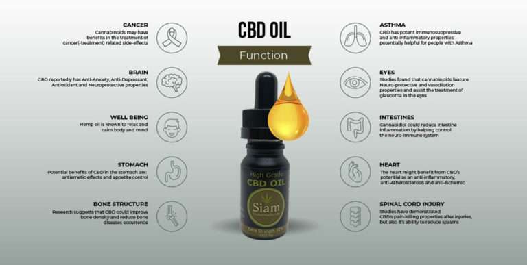 cbd oil function