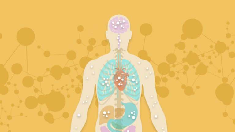 endocannabinoid system